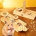 2 Pack Guinea Pig Foraging Toys, Guinea Pig Enrichment Toys Wooden Interactive Bunny Puzzle Toys, Small Animals Hide Treats Dispenser for Hamster, Rabbits, Bunny, Chinchillas