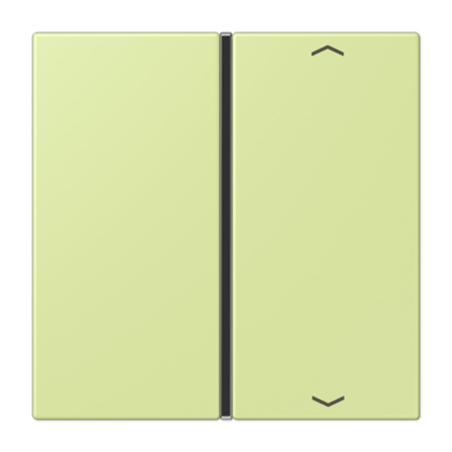 Jeu de touches F40 volet roulant LC32053 JUNG LC401TSAP222