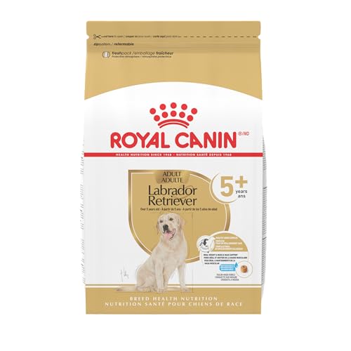 Royal Canin Breed Health Nutrition Labrador Retriever 5+ Mature Dry Dog Food, 28 lb Bag