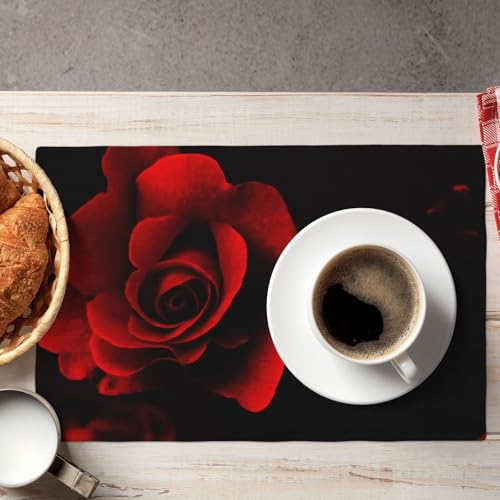 Sets de table lavables 45x30 cm pour protéger votre table à manger - 8