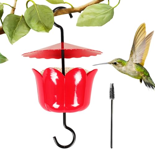 Alimentador de beija-flor à prova de formigas, de formigas para alimentador de beija-flor | Ganchos