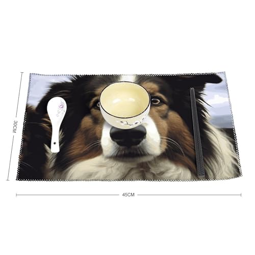 Set de table toile chien de mouton 45x30cm infroissable et facile à nettoyer - 3