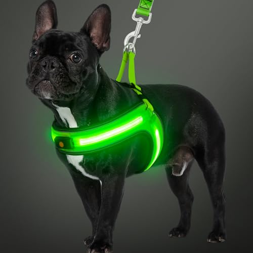 BiPawTi Leuchtendes Hundegeschirr Mittelgroße Hunde, Aufladbar Leuchtgeschirr Hundeweste mit 3 Lichtmodi - Leuchtet Im Dunkeln LED Geschirr für Hunde, Brustgeschirr fürs Camping mit Hund - Grünlicht
