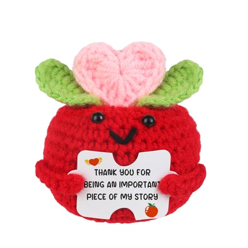 Chuchoter Appreciation Gifts for Teacher,Thank You Teachers Day Birthday Graduation