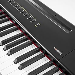 Artesia PE-88 Piano numérique portable Noir + lampe LED Keepdrum - Les Beatles, Paul McCartney, John Lennon, RIngo Starr, George Harrison Artesia PE-88 Piano numérique portable Noir + lampe LED Keepdrum – Image 3