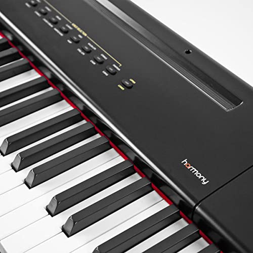 Artesia PE-88 Piano numérique portable Noir + lampe LED Keepdrum - Les Beatles, Paul McCartney, John Lennon, RIngo Starr, George Harrison Artesia PE-88 Piano numérique portable Noir + lampe LED Keepdrum – Image 4
