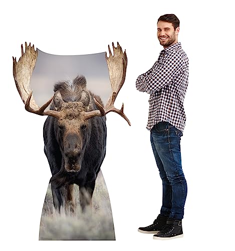Image of Cardboard People Moose Life Size Cardboard Cutout Standup - Made in USA