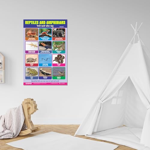 Image of ESCAPER Reptiles Educational Charts for Kids Learning (11.5 x 17.5 Inches), Study Material, Learning Books, Posters
