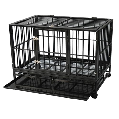 Dog Training Mats
