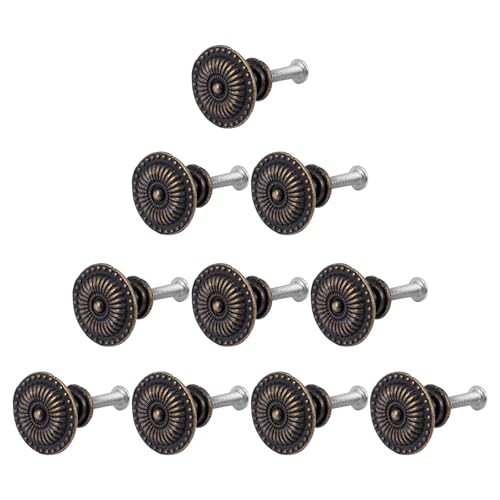 Didiseaon gLrlbgmu10Zbg ovnh AeB[NWG[{bNXpƋ lWtLrlbghA