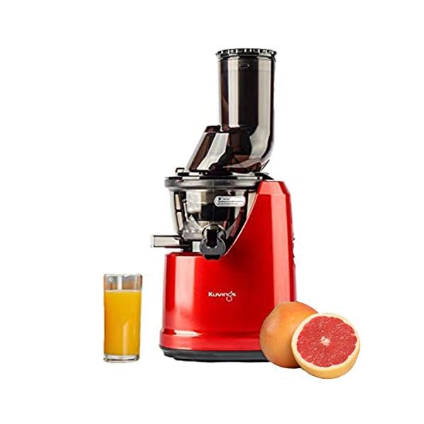 Kuvings Professional B1700 240 Watt Cold Press Whole Slow Juicer