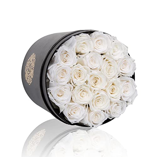 NATROSES Preserved Roses White Roses in a Box That Last Up to 3 Years, Long Lasting Roses for Her, Preserved Flower Gifts for Her Valentines Day Gifts, Mothers Day