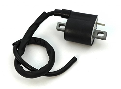 Ignition Coil Polaris ATV TrailBlazer 250 1990 1991 1992 1993 1994 1995 1996 1997 1998 1999 2000 2001 2002 2003 2004 2005 2006