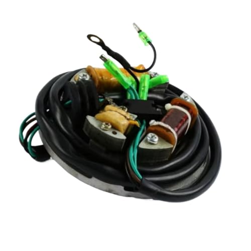 Bobine de stator d'allumage haute résistance pour magnéto de Superjet SJ650
