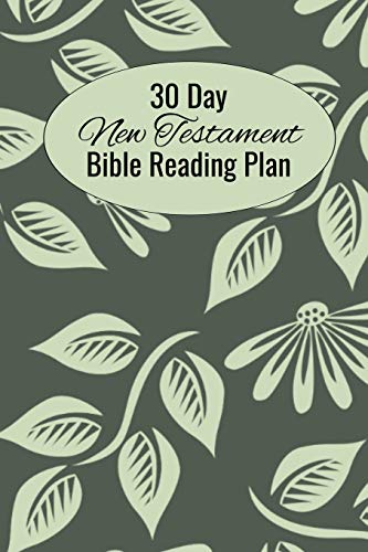 30 Day New Testament Bible Reading Plan: Daily Devotional With Scripture Reading And Writing Prompts (6"X9", 15.24 X 22.86 Cm)