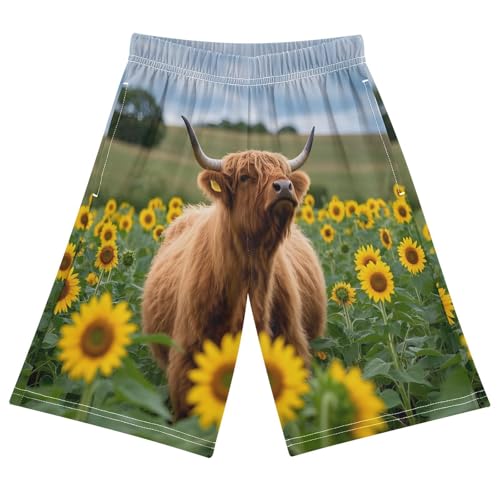 ALAZA Highland Cattle Sunflower Field Boys Athletic Shorts Kids with Pockets Shorts for boy Girl Size 6-8 Years Multicolor