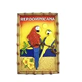 Dominikanischer 3D-Kühlschrankmagnet, Dekorative Magnete, Souvenir-Geschenk, Kunstharz, handgefertigt, für Zuhause und Küche