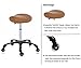 Hydraulic Saddle Stool with Wheels Height Adjustable Stylish Ergonomic Rolling Swivel Chair for Hygienic Clinic Salon Tatoo Massage Office (Camel)