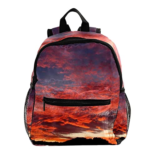 Sac à dos loup pour enfants dos préservé sac multicolore 30cm