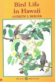 Bird Life in Hawaii