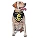 Army - Staff Sergeant Triangle Dog Bandana Scarf Accessories for Pet Bibs