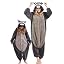 Gray Raccoon