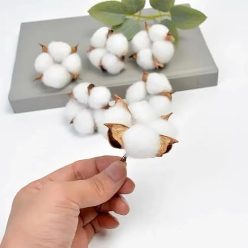 10 piezas de algodón seco artificial para decoración y manualidades miniatura 5