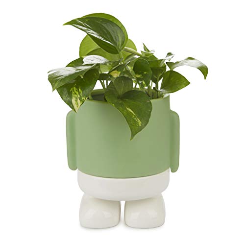 Balvi Maceta MrStandy Color Verde y Blanco Tiesto para Plantas en Forma de Personaje simpático con...