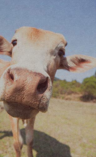 Farmhouse Fresh Fresh Melon Body Milk, 8 Fl Oz #TOP6