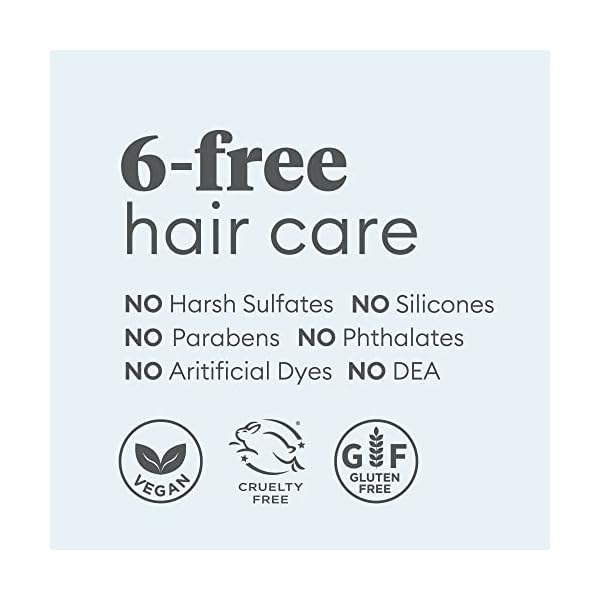 Briogeo Scalp Revival MegaStrength+ Dandruff Relief Shampoo Charcoal