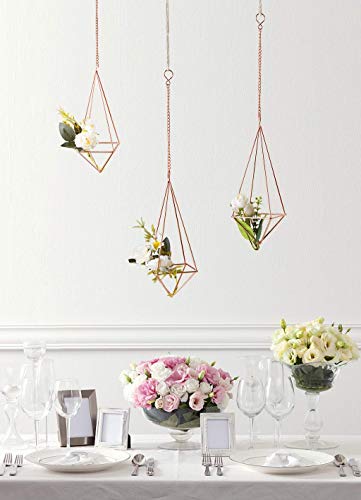 Dahey Hanging Air Plant Holder-4 Pack Bronze Metal Airplant Rack Tillandsia Hanger And 3 Pcs Himmeli Geometric Planter With Chains Rustic Home Decor,Gold #TOP2