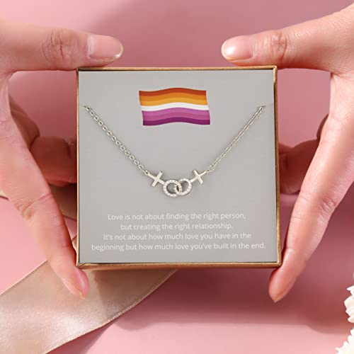 Lesbian Pride Gifts Lesbian Necklace LGBT Pride Necklace Gifts Rhinestone Silver Necklaces3