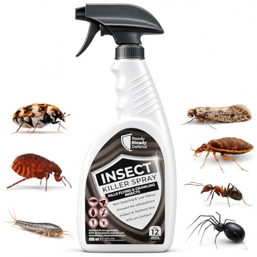Effective Insect Killer Spray 650ml for All Life Stages - Indoor & Outdoor Use HSE Approved Targets Ants Fleas Flies & More Provides 3-Month Protection