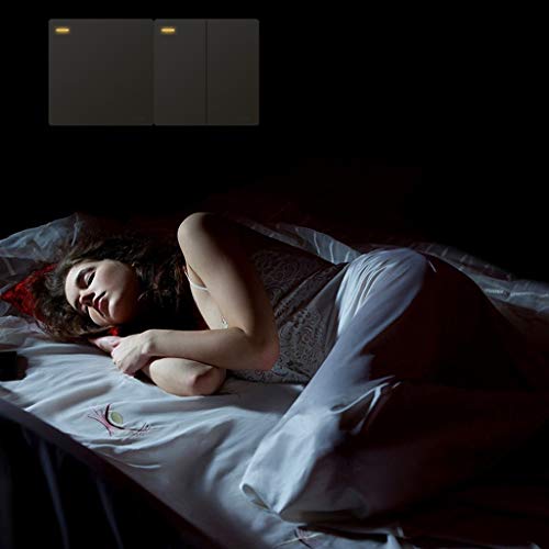 Light Switch Office Meeting Room Golden Metal 86 Type 10A Single Control Switch Invisible And Easy To Disassemble The Large Button Panel Decoration (Color : Gold, Size : 3) #TOP1