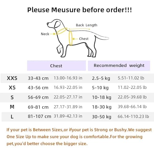 Ensemble de laisse de luxe pour chien avec harnais doux respirant vert