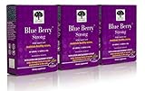 Blue Berry Eyebright, 60 Tabs by New Nordic US Inc (Pack of 3)