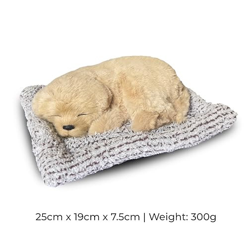 Image of Sleeping Soft Toy Car Dashboard Showpiece Soft Plush Stuffed Dog Realistic Puppy Figurine with Bamboo Charcoal for Home Decor, Car, Office and Gift (25 x 20 cm)