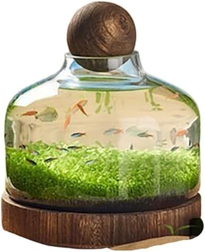 GEBYUI ]_KX ؐx[Xii ~NhXP[vԊϏܕr k{gZbg rO//oRj[/֑CeA?