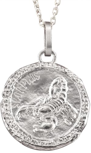 プラチナ プレート（魚座）ネックレス