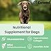 Extend Joint Care for Dogs - Hip and Joint Supplement Powder - Glucosamine for Dogs - Joint Pain Relief - MSM - Mobility & Flexibility Support - Advanced Joint Health - Made in USA