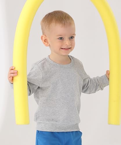 GFQLONG Toddler Boys 2 Pack Cotton Crewneck Sweatshirt, Baby Solid Long Sleeve Pullover Tops4