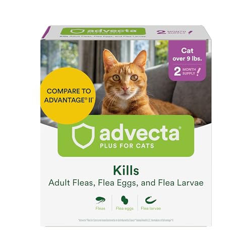 Advecta Plus Topical Large Cat Flea Treatment for Cats and Kittens, Flea Prevention and Control, Fast-Acting Waterproof Drops, 2-Month Supply