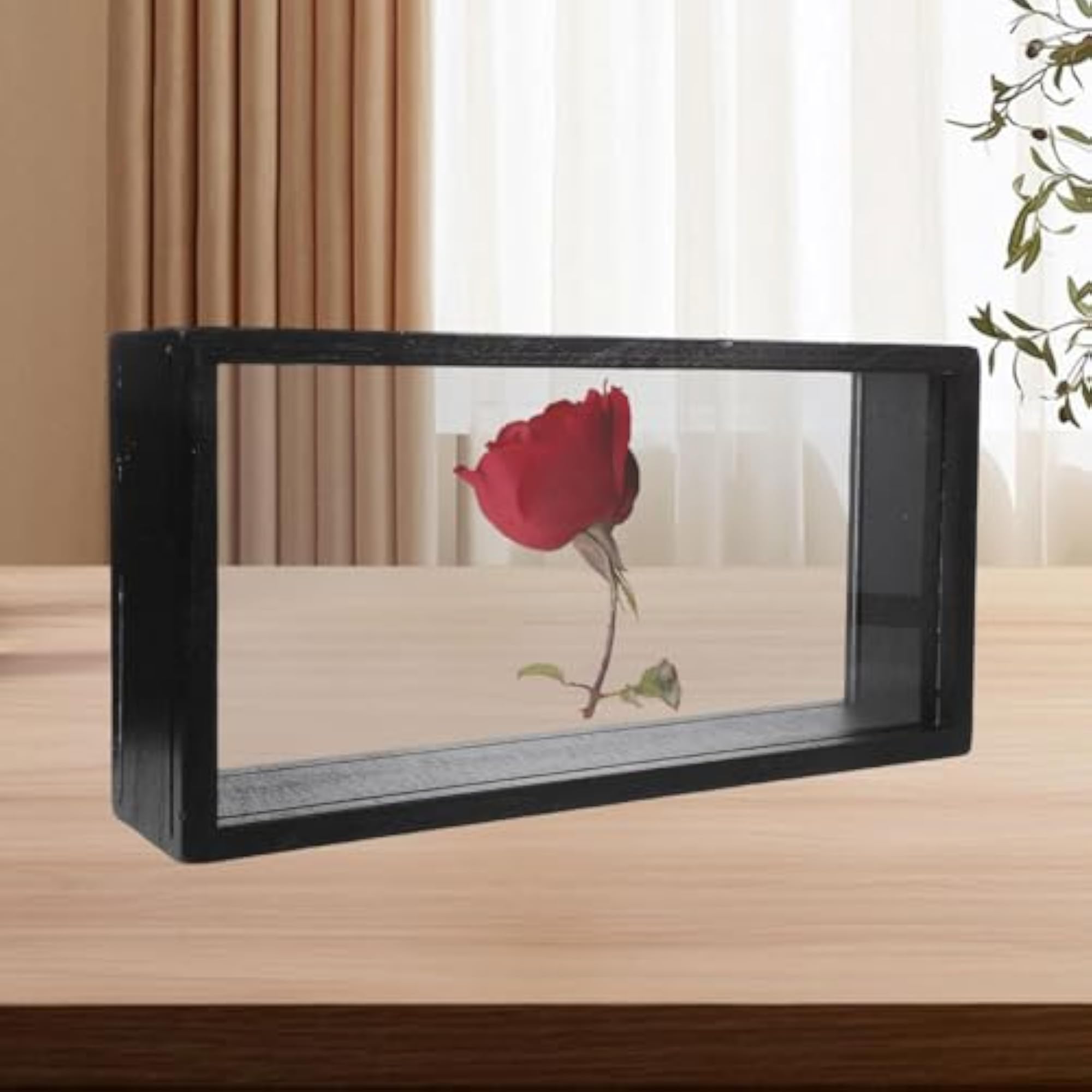 Art Badges Shadow Box with Glass Cover
