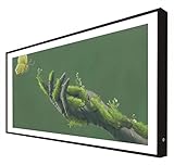 Cuadro con Marco de Madera Lacada en Negro Retroiluminado Naturaleza