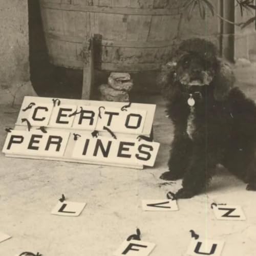 PEG: il cane che parlava e diceva di essere REINCARNATO-STORIA VERA
