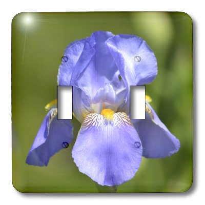 Interrupteur iris 3dRose LSP_54453_2 plaque décorative fleur de printemps - 4