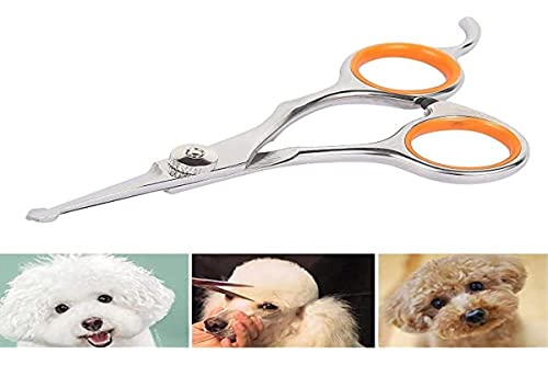 Ciseaux pour Chien Acier Inoxydable Tranchant 13×5.5×0.5cm Ciseaux Toilettage Chien Professionnel pour Chats Chiens et Autres Animaux de Compagnie
