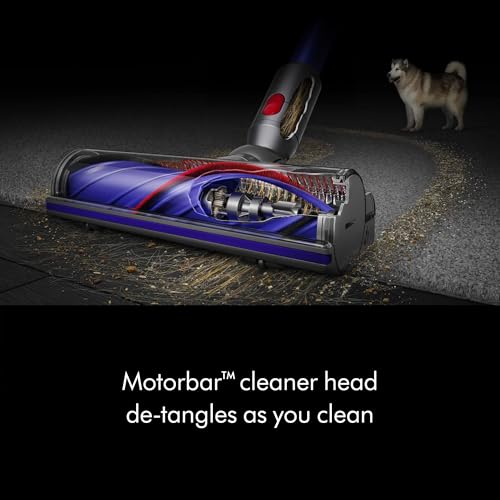 Image of Dyson V11 Plus (Renewed Premium)