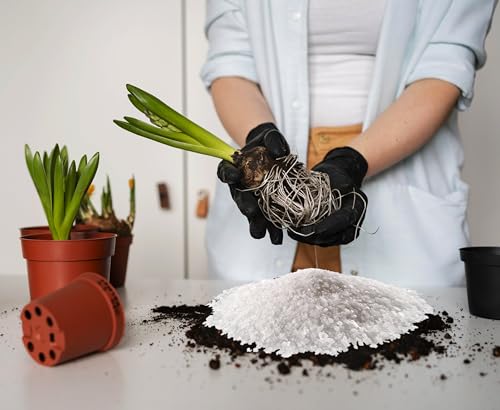 Image of COIR GARDEN - EPSOM SALT 10 KG FOR PLANT GROWTH - ORGANIC FERTILIZER - MAGNESIUM SULPHATE BOOSTER FOR FLOWERING, VEGETABLES AND FRUITS