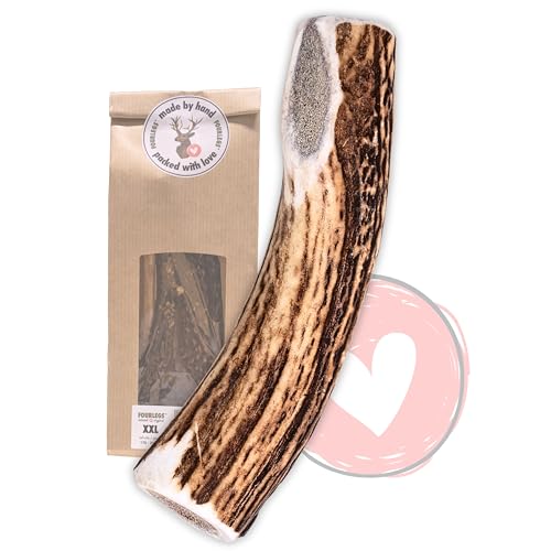 FOURLEGS® natürlicher Kausnack für Hunde aus 100% Hirschgeweih - Mineralstoffe, Kauspielzeug, Kaustange, Wildgeschmack, Geweih, Knochen, Hirsch, Kauartikel - Größe XXL ganz